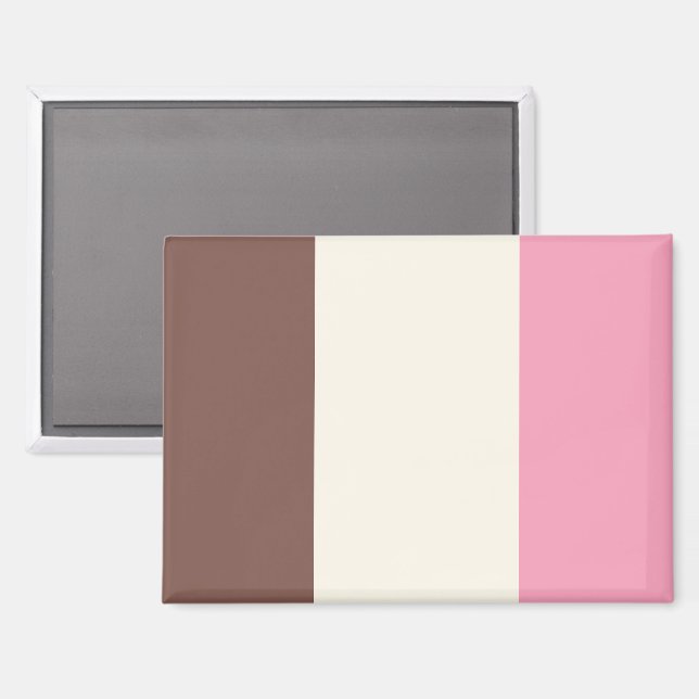 Neapolitanes Eiscreme-Muster Magnet (Vorderseite/Rückseite)