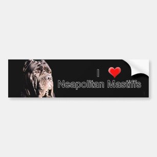 Neapolitanischer Mastiff-Autoaufkleber Autoaufkleber