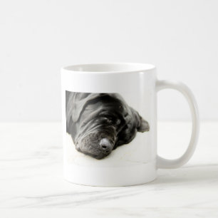 Neapolitanischer Mastiff Kaffeetasse