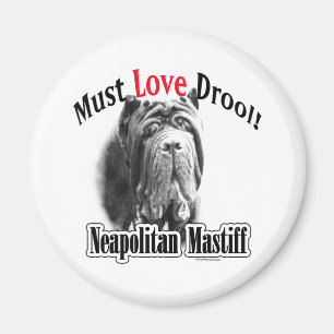 Neapolitanischer Mastiff muss Liebe-Geifer - Magnet