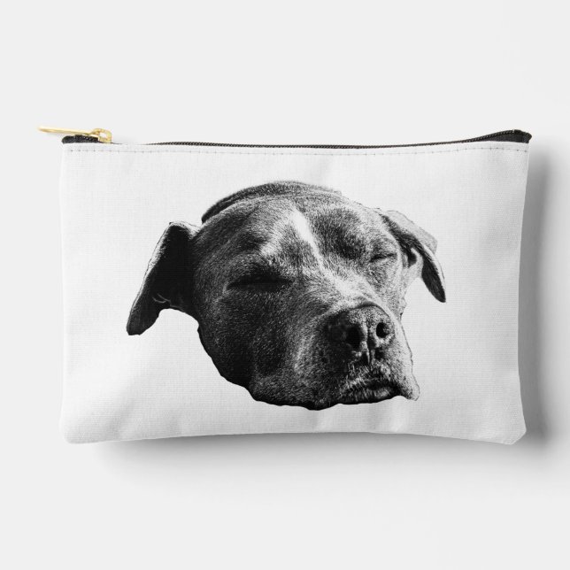 Neat Shade Pouch Zubehörtasche (Vorderseite)