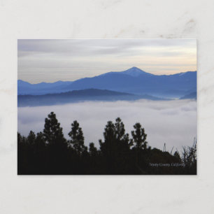 Nebel am frühen Morgen... Postkarte