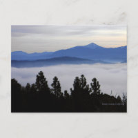 Nebel am frühen Morgen... Postkarte
