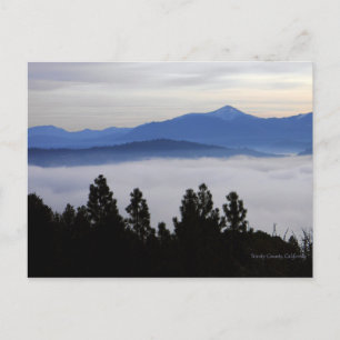 Nebel am frühen Morgen... Postkarte