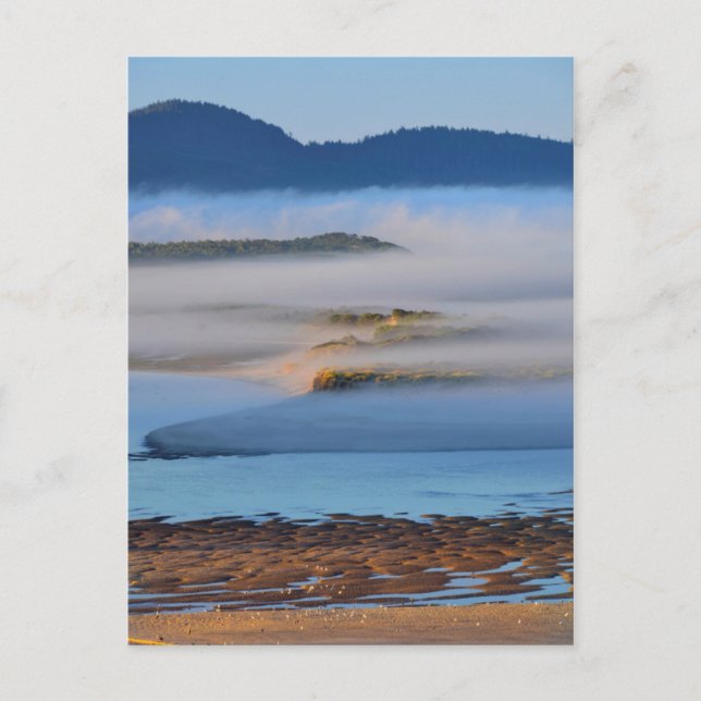 Nebel am Morgen über Netarts Bay, OR Postkarte (Vorderseite)