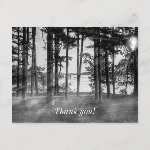 Nebel Bäume bei Table Rock Graustufen Danke Postkarte