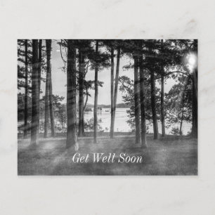 Nebel Bäume bei Table Rock Graustufen Gute Besseru Postkarte