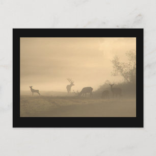 Nebel-Elch-Familie Postkarte