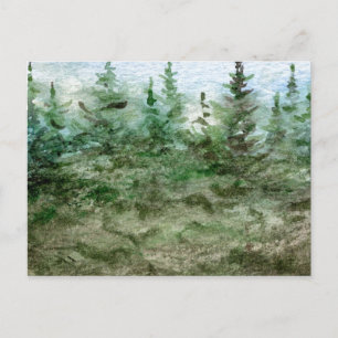 "Nebel in den Kiefern" Postkarte