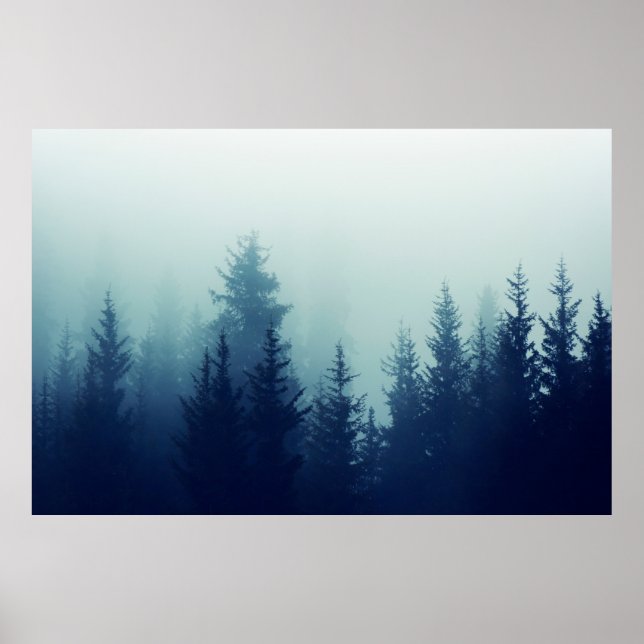 Nebel in Pinienwald auf den Berghängen. Farbe Poster (Vorne)