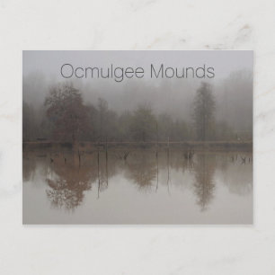 Nebel in Walnut Creek Feuchtgebieten, Ocmulgee Mou Postkarte