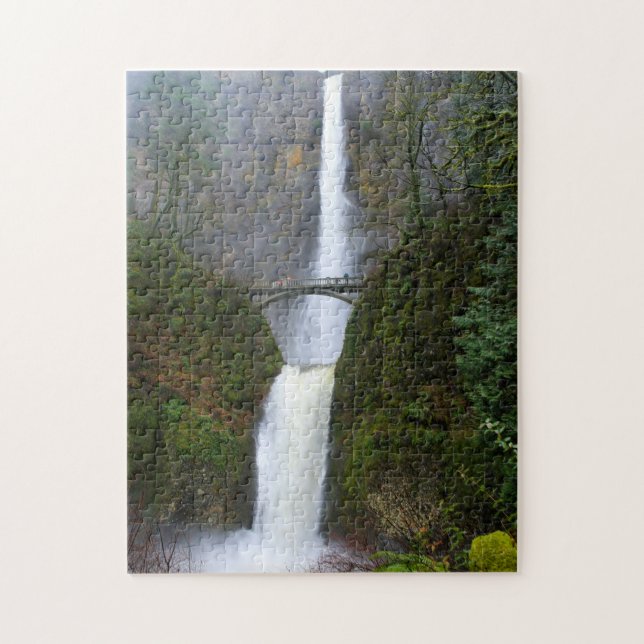 Nebel & Mist of Multnomah Falls, Oregon - 11 x 14  (Vertikal)