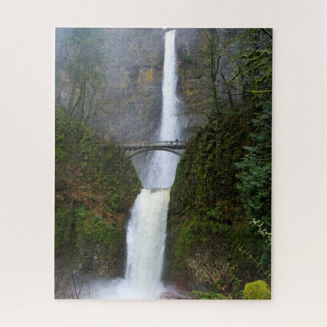 Nebel & Mist of Multnomah Falls, Oregon - 16x20 in (Vertikal)