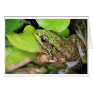 Nebel Pince - Button