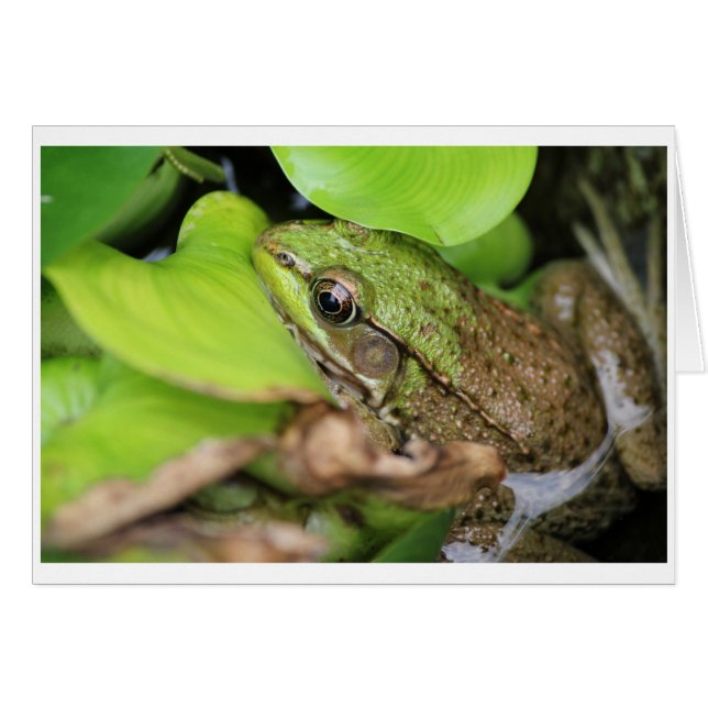 Nebel Pince - Button (Vorderseite (Horizontal))