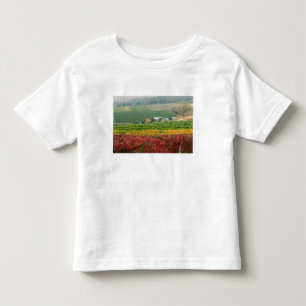 Nebel schlängelt über Gehring Brothers Weinkellere Kleinkind T-shirt