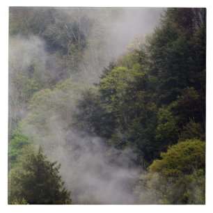 Nebel steigt nach Frühlingsregen vom Berghang auf, Fliese