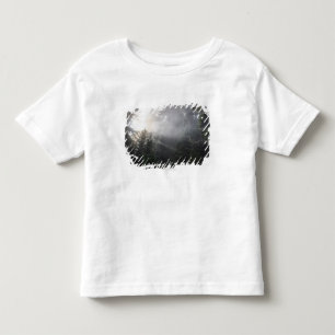 Nebel u. Sun-Strahlen in einem Washington-Wald Kleinkind T-shirt