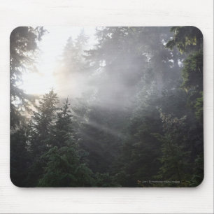 Nebel u. Sun-Strahlen in einem Washington-Wald Mousepad