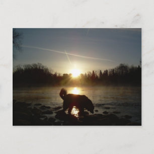 Nebel über Mississippi River Postkarte