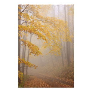 Nebel und Herbstblätterung, Große, rauchige Berge Fotodruck