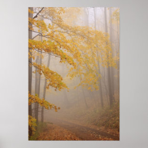 Nebel und Herbstblätterung, Große Smokyberge Poster