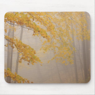 Nebel und Herbstlaub, Great Smoky Mountains Mousepad