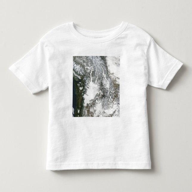 Nebel und Schnee im Pazifischen Nordwesten (wahre  Kleinkind T-shirt (Vorderseite)
