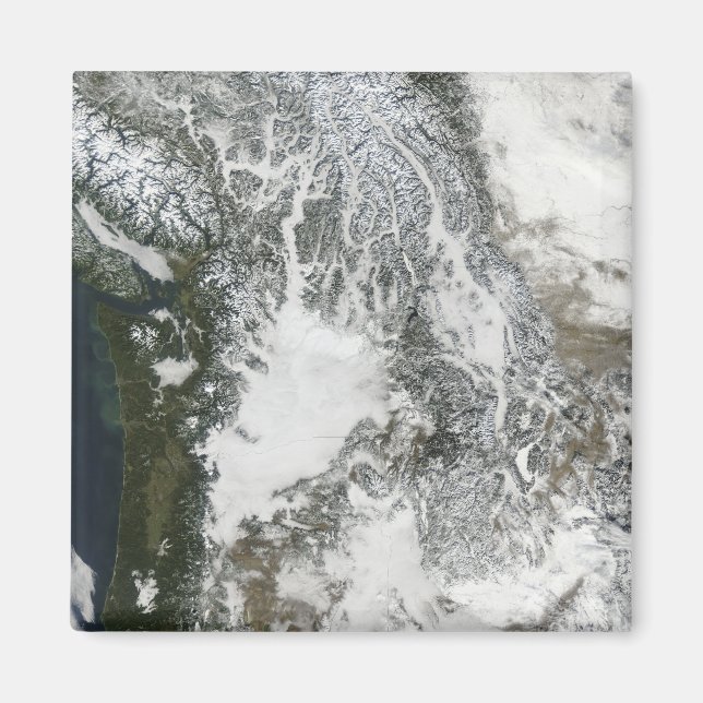 Nebel und Schnee im Pazifischen Nordwesten (wahre  Magnet (Vorne)