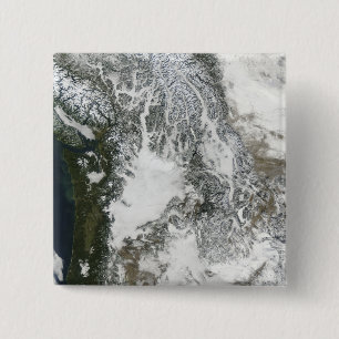 Nebel und Schnee im pazifischen Nordwesten (wahres Button