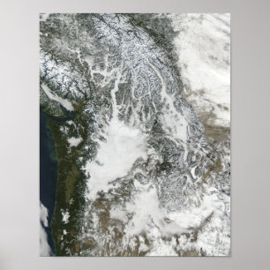 Nebel und Schnee im pazifischen Nordwesten (wahres Poster