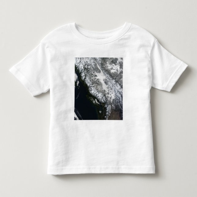 Nebel und Schnee in British Columbia Kleinkind T-shirt (Vorderseite)