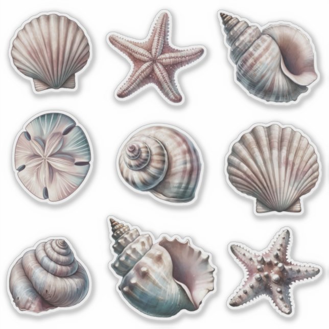 Nebel Verschiedene Muschel Sticker - Set von 9 (Vorderseite)
