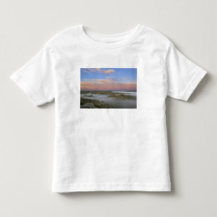 Nebel vom Little Missouri River hängt in den Kleinkind T-shirt