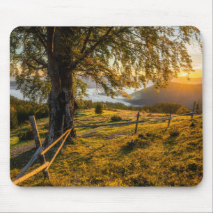 Nebelhafte Dämmerung in einem Wald Mousepad