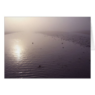 Nebelhafter Sonnenuntergang