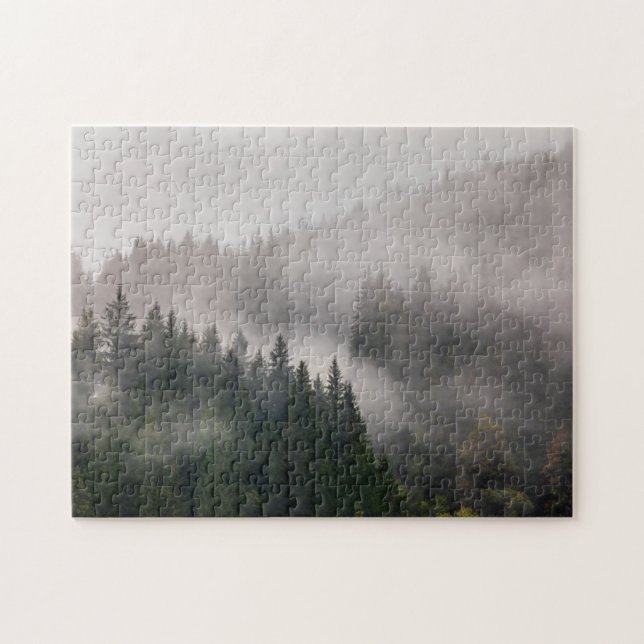 Nebelhafter Wald in den Bergen (Horizontal)