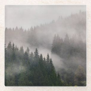 Nebelhafter Wald in den Bergen Glasuntersetzer
