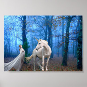 Nebelhafter Wald Poster