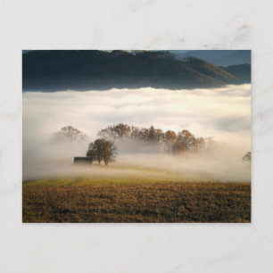 Nebelhalde auf der Wiese Postkarte