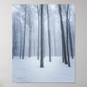 Nebeliger gefrorener Winterwald Poster