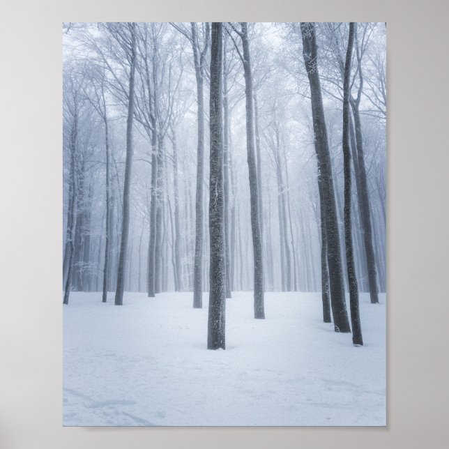 Nebeliger gefrorener Winterwald Poster (Vorne)