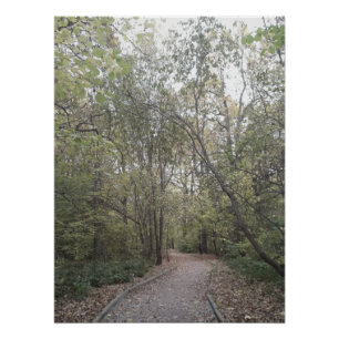 Nebeliger Herbstwaldweg Poster