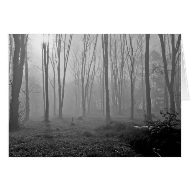 Nebeliger Morgen (Vorderseite (Horizontal))