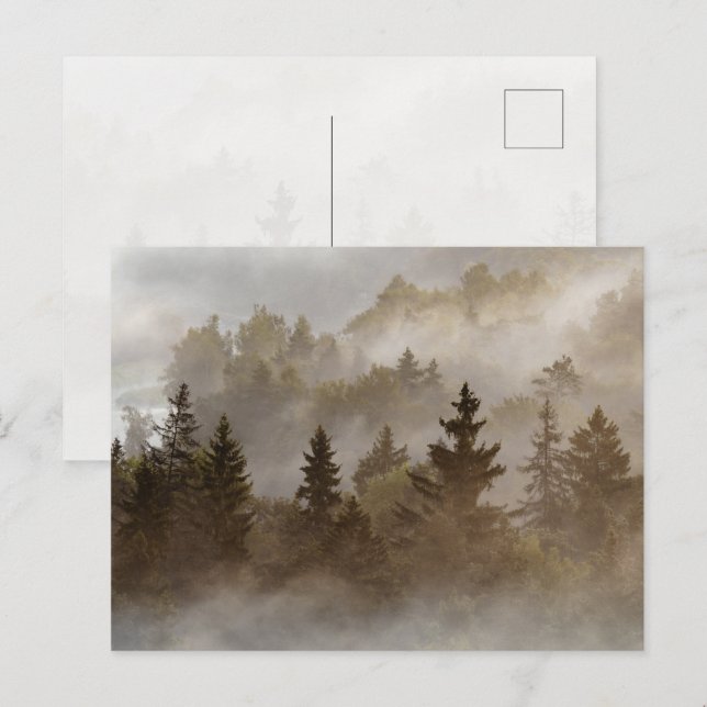 Nebeliger Morgen im Tal Postkarte (Vorne/Hinten)