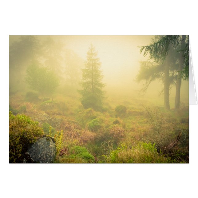 Nebeliger Morgen in Wicklow-Bergen (Vorderseite (Horizontal))