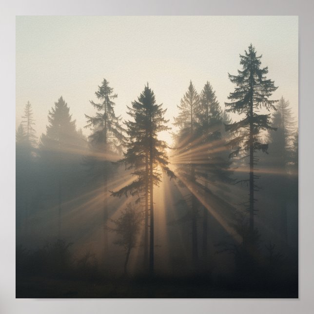 Nebeliger Wald Morgen Landschaft Poster (Vorne)