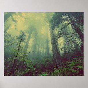 Nebeliger Wald Poster