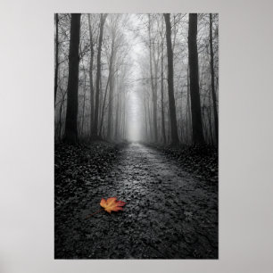 Nebeliger Waldweg Selektive Farbe Poster