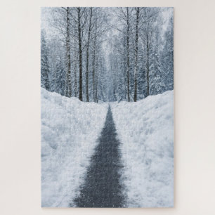 Nebeliger Winterwaldweg Winterlandschaft